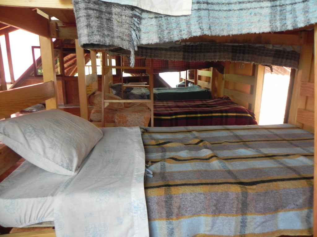 DSCN4785