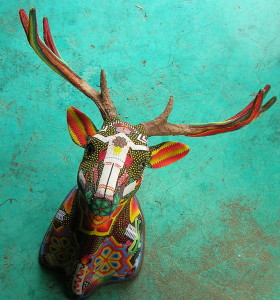 Venado Wirra