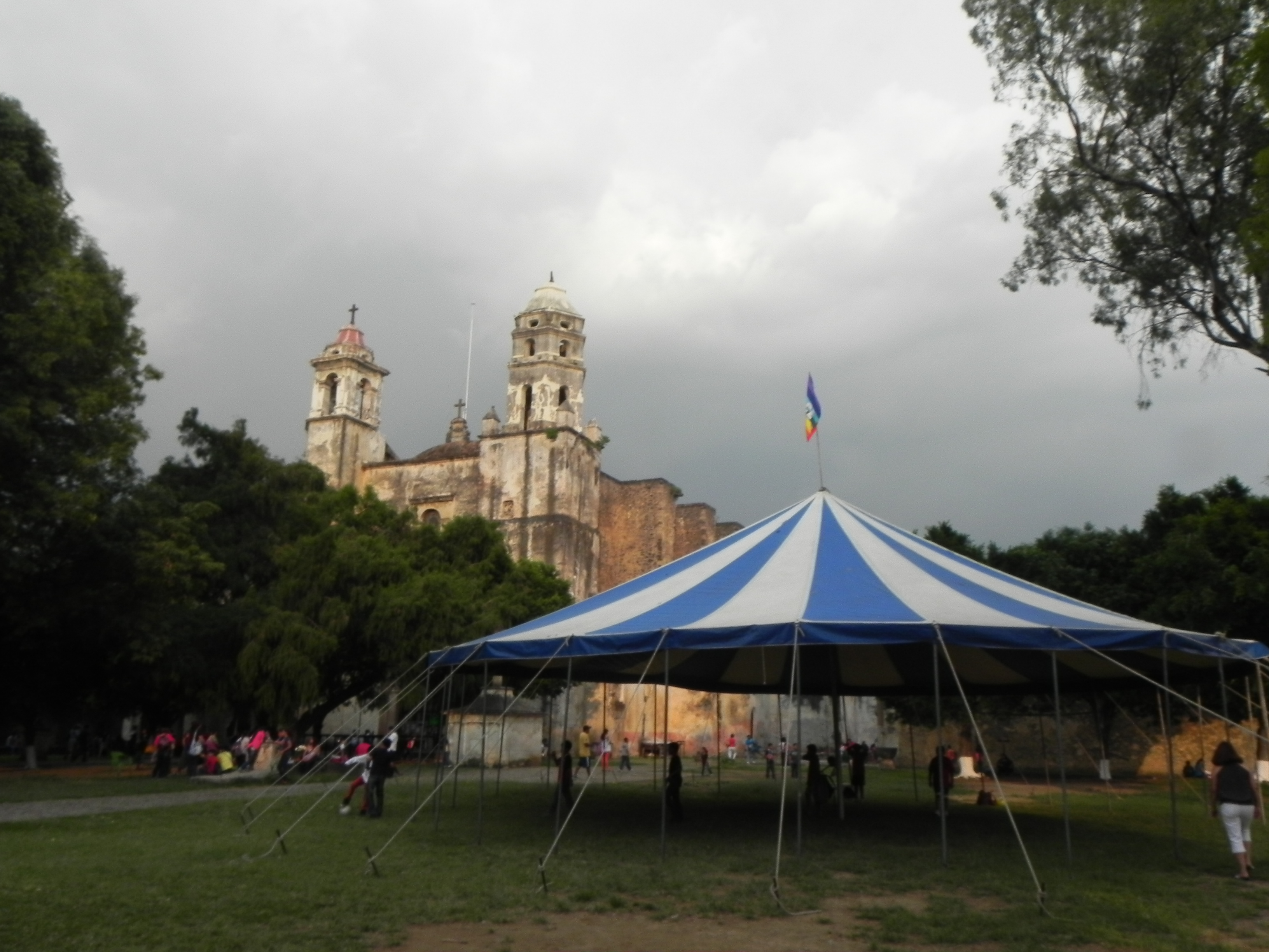 DSCN7290