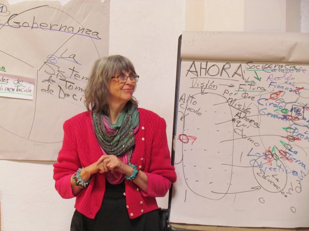 Curso Sociocracia (127)